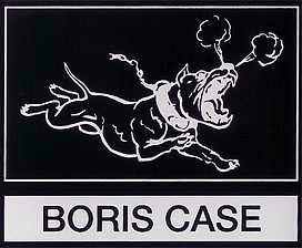 Boriscase logo